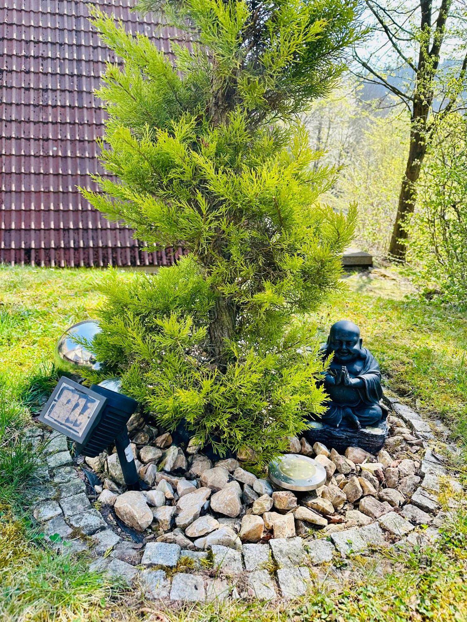 Natur Pur - Waldurlaub Im Tiny House Ronshausen Dış mekan fotoğraf