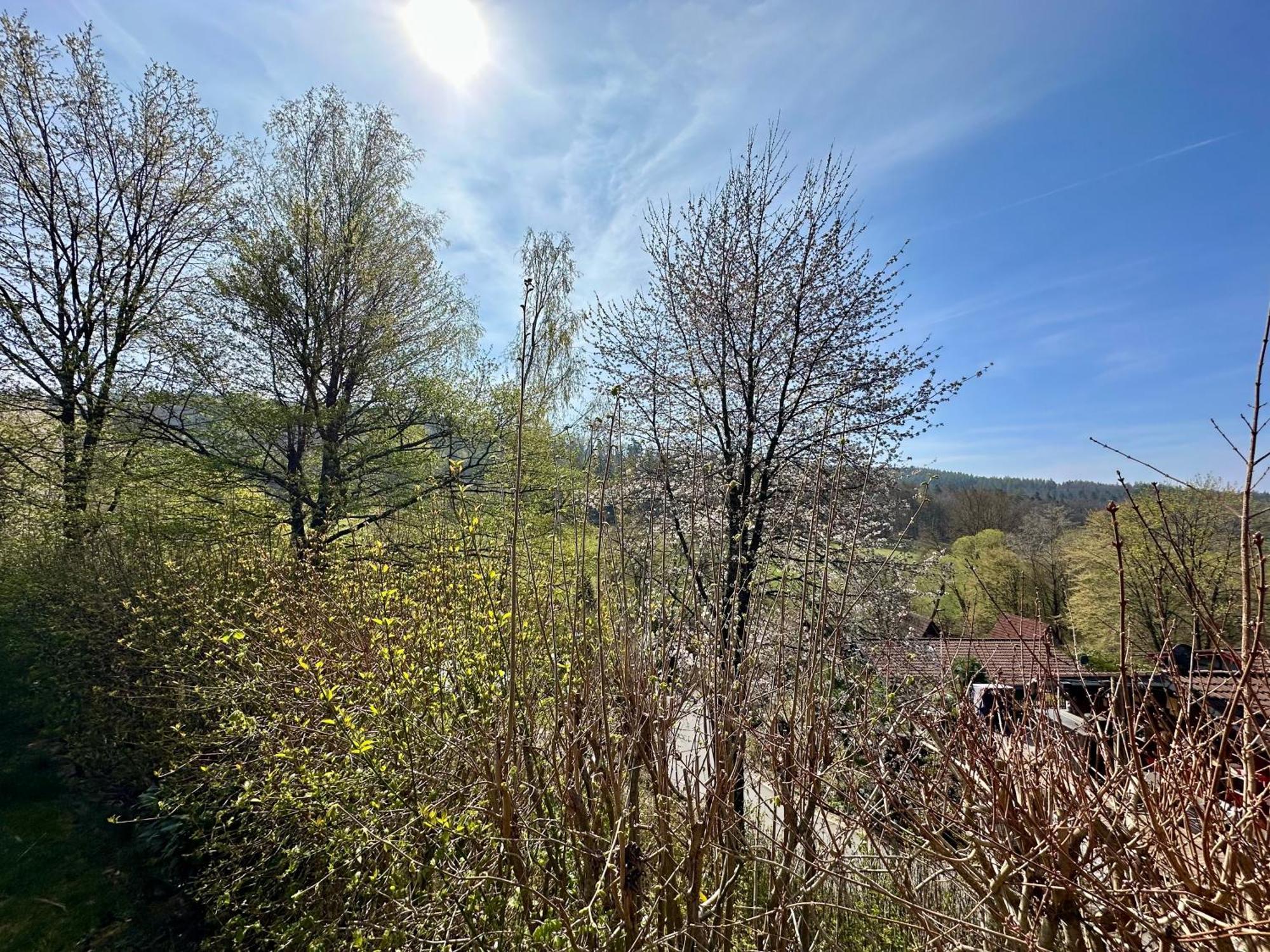 Natur Pur - Waldurlaub Im Tiny House Ronshausen Dış mekan fotoğraf